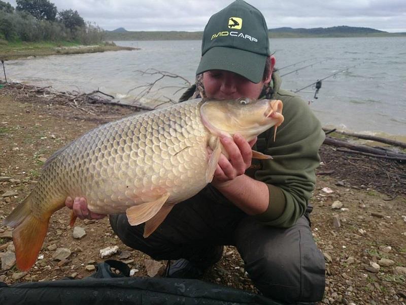 SENZOR PLANET IN SPANIA 2014 - dip-neon-in-spania.jpg